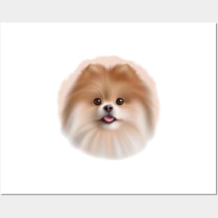 Cute Pomeranian Drawing Posters and Art